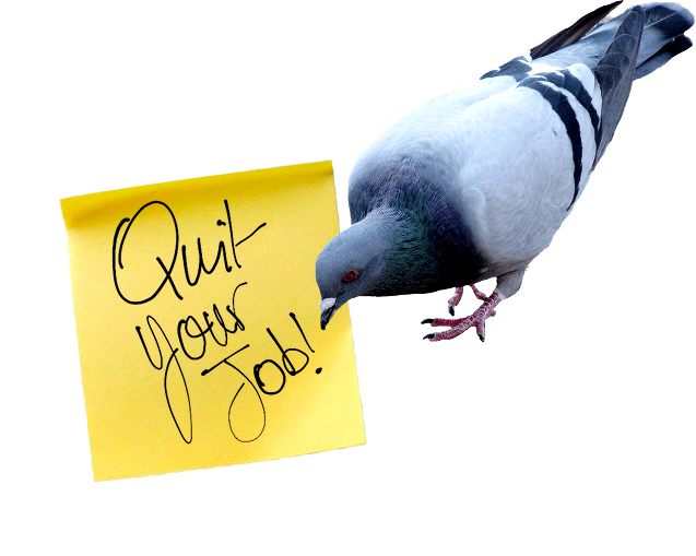 Pigeon & Postit