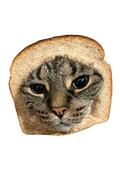 Cat Bread